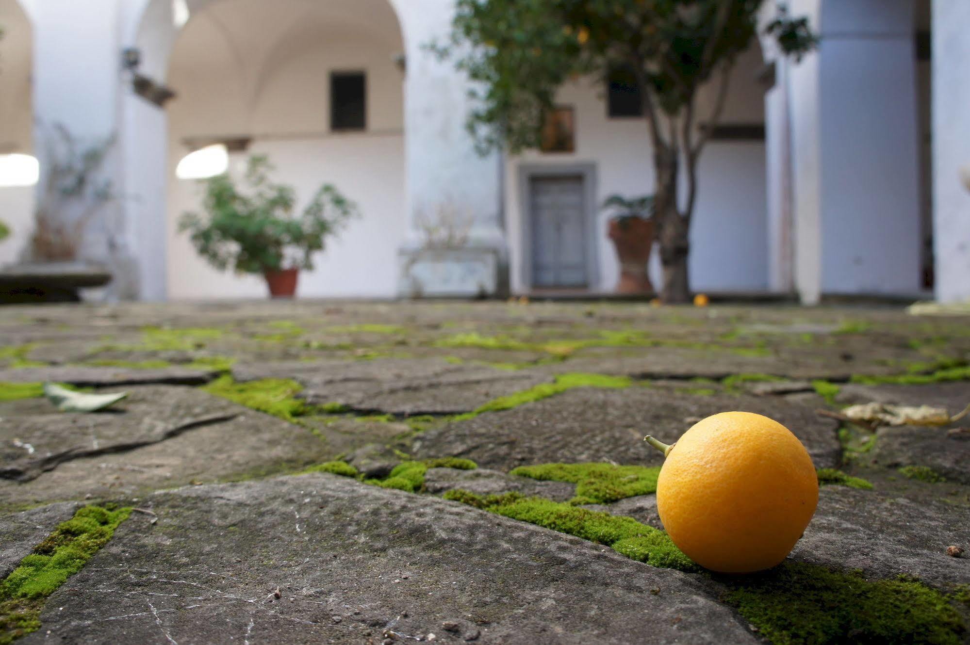 San Francesco Relais Bed & Breakfast Massa Lubrense Luaran gambar